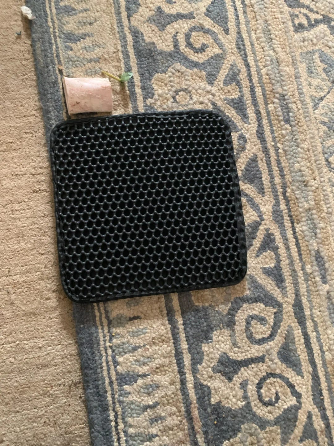 Customer photo review of The MiloPaw™ Ultimate LitterGuard