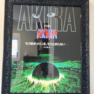Customer photo review of Beetlejuice (1988) - Premium Movie Poster