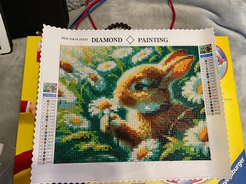 Customer photo review of Bunny Holding a Daisy | Diamond Painting Kit