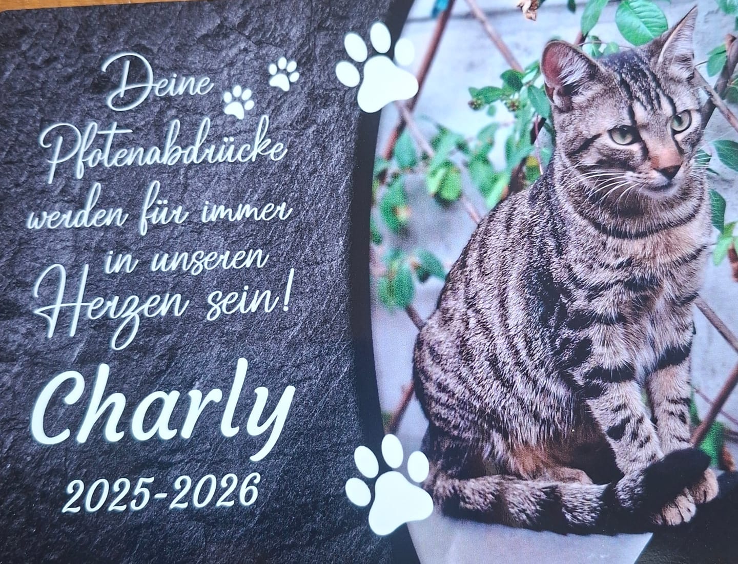 Customer photo review of Katzen Gedenktafel mit Foto & Spruch (UV- & Wetterfest)
