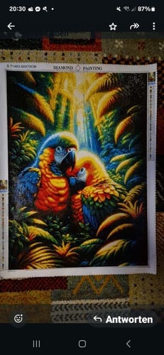 Customer photo review of Parrots, couple | Diamond Painting Kit