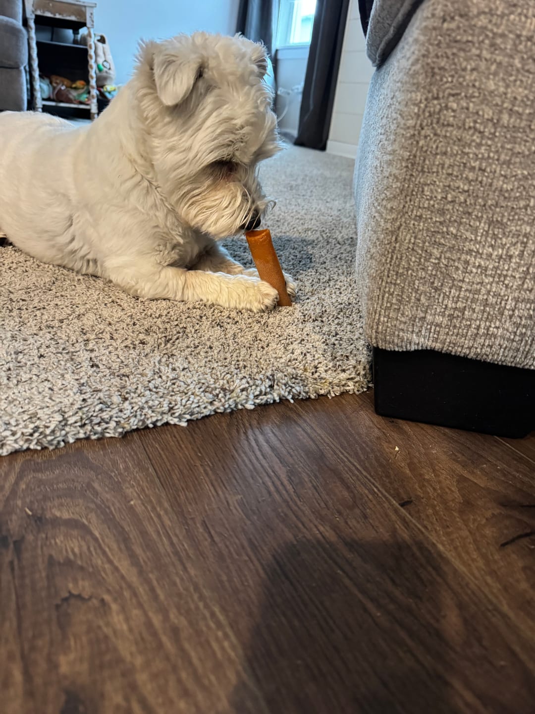 Customer photo review of Pumpkin Yak Chew — Fiber-Rich, Supports Digestion Naturally