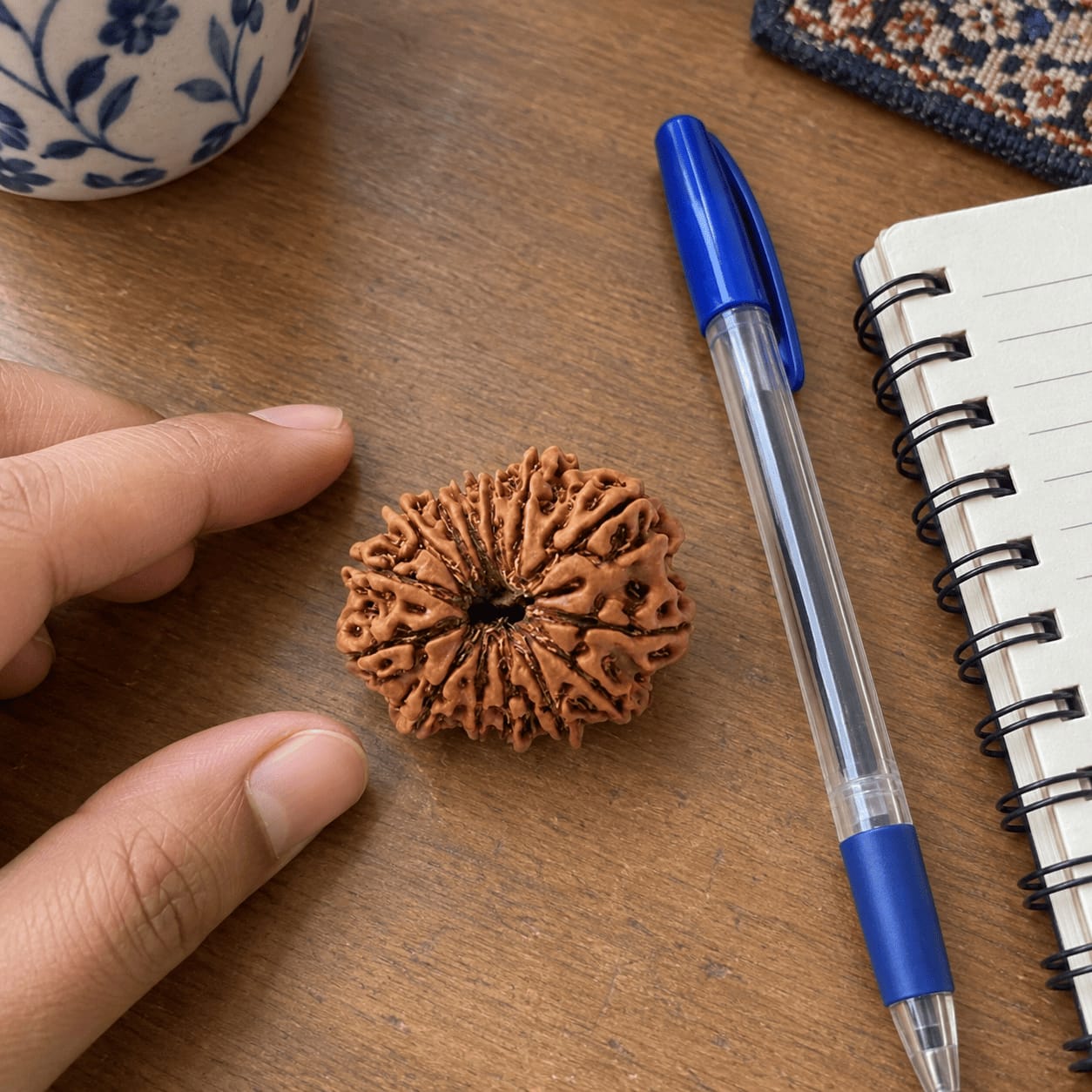 Customer photo review of 13 Mukhi Rudraksha (Nepali)