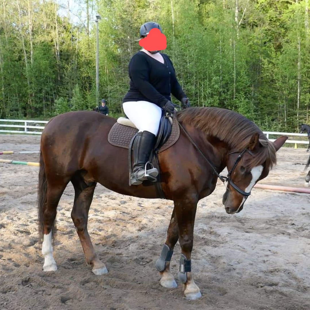Customer photo review of Broadland Plus-Size Riding Boots