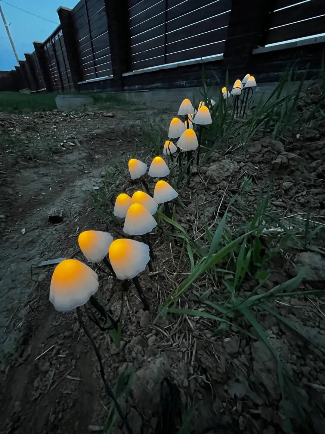Customer photo review of Colourful String Lights for Garden, Solar Mushroom, 350 cm