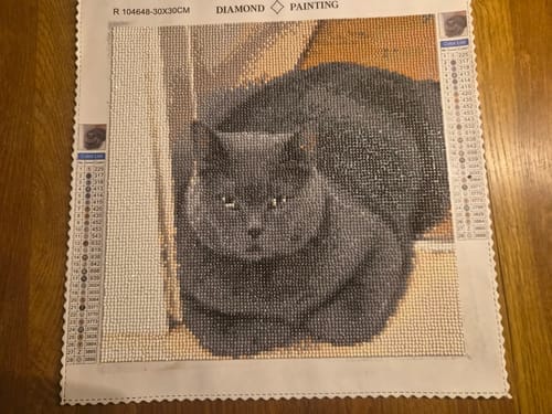 Customer photo review of Your Photo | Custom Photo Diamond Painting Kit