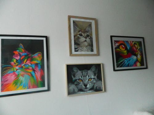 Customer photo review of The Relaxing Cat | Diamond Painting Kit