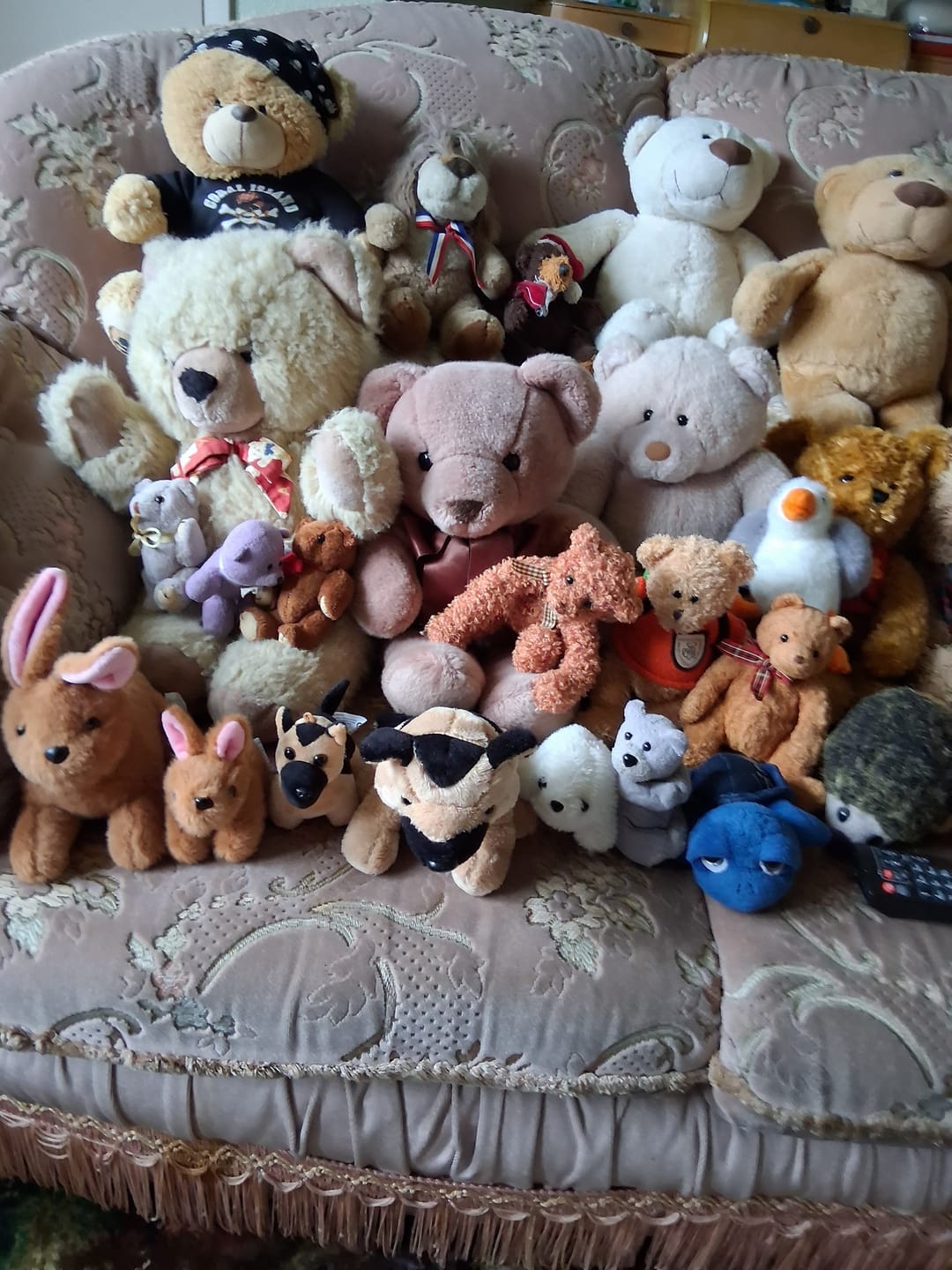 Customer photo review of Baby Woof Woof the Dog