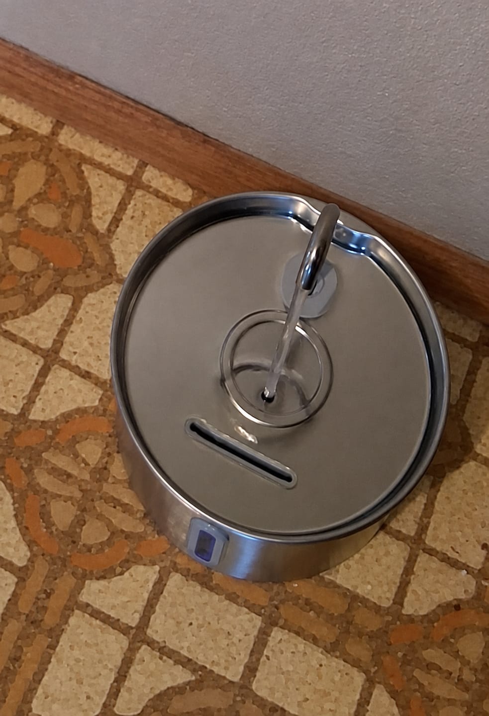 Customer photo review of IsaPet - Fuente de Agua Inalámbrica Mascotas 2.2L
