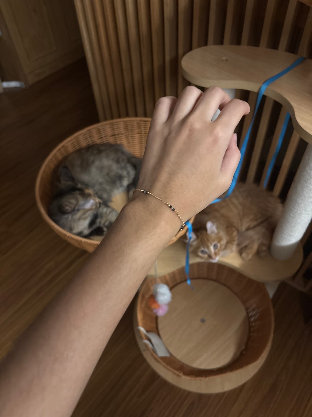 Customer photo review of Amarus Gemstone Bracelet