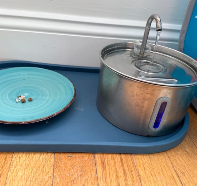 Customer photo review of IsaPet - Fuente de Agua Inalámbrica Mascotas 2.2L