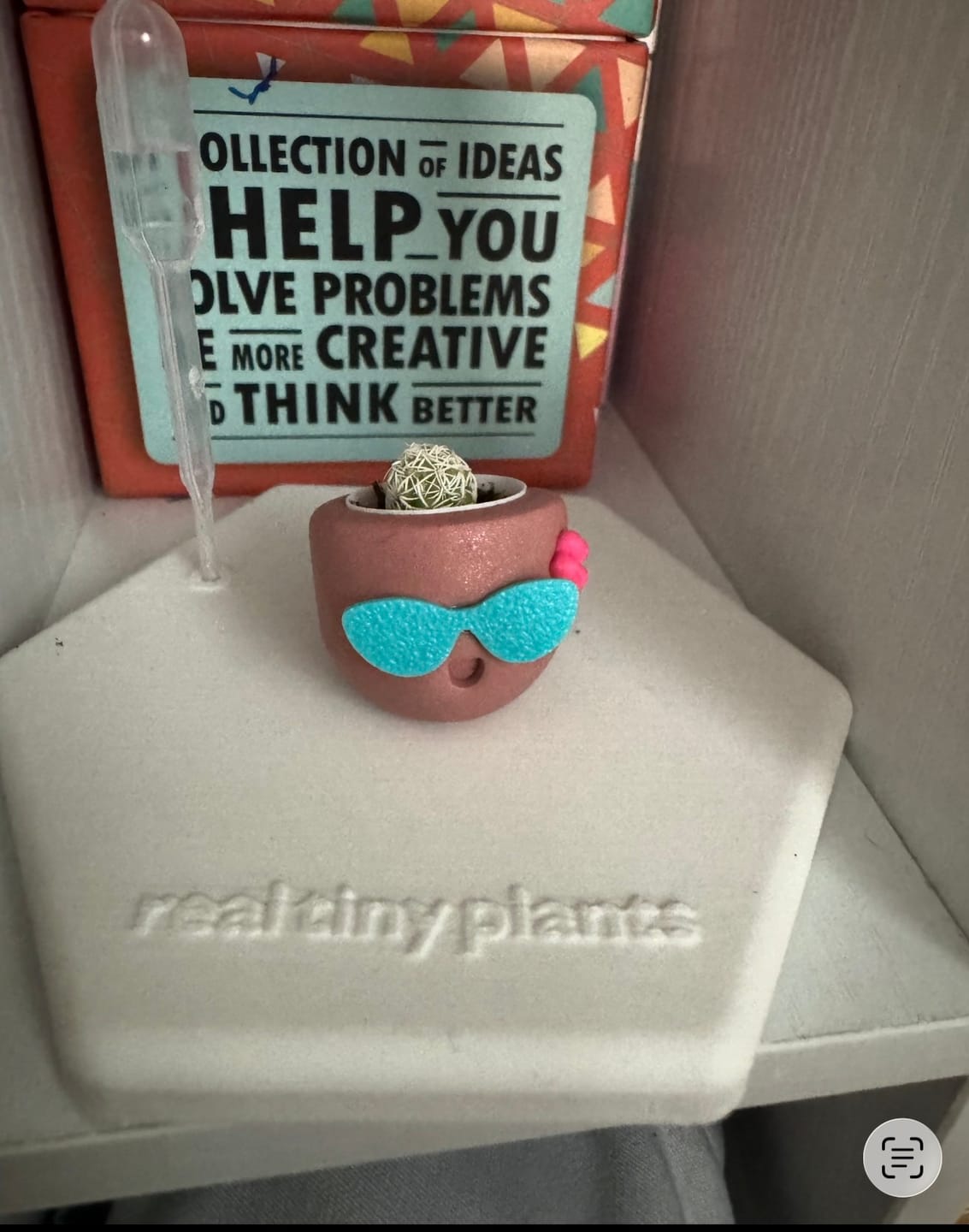 Customer photo review of Mystery Pool