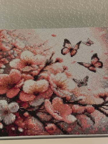 Customer photo review of Butterfly and flowers in pink | Diamond Painting Kit