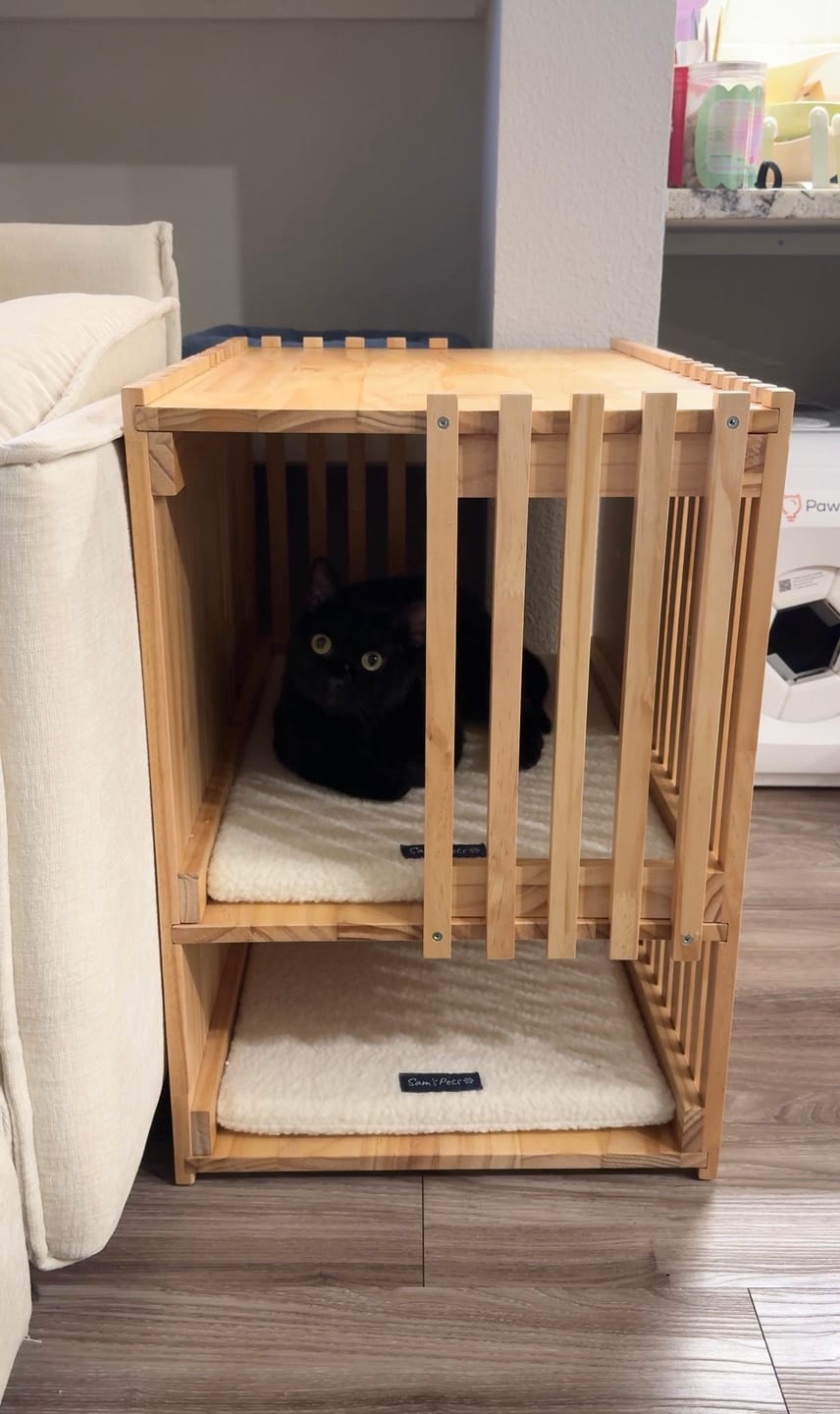 Customer photo review of Sam's Pets Yves Rectangle Cat Tower in Natural oak