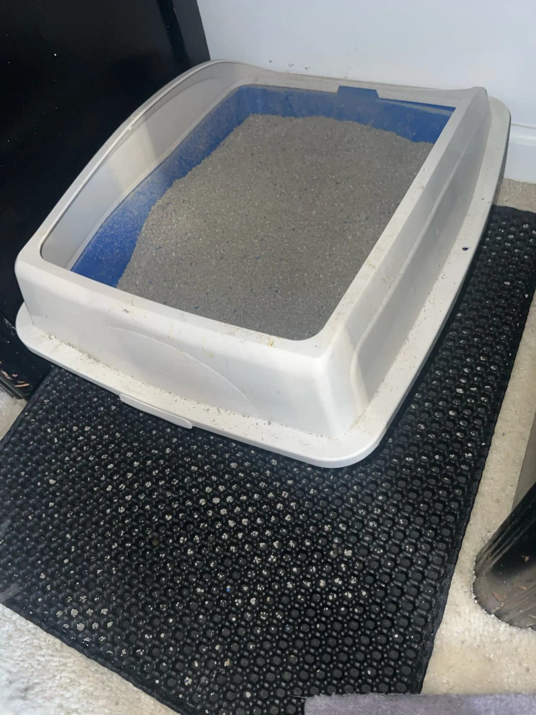 Customer photo review of The MiloPaw™ Ultimate LitterGuard
