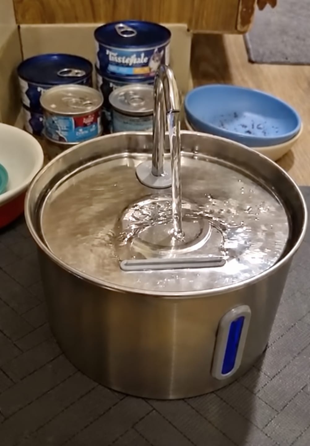 Customer photo review of IsaPet - Fuente de Agua Inalámbrica Mascotas 2.2L