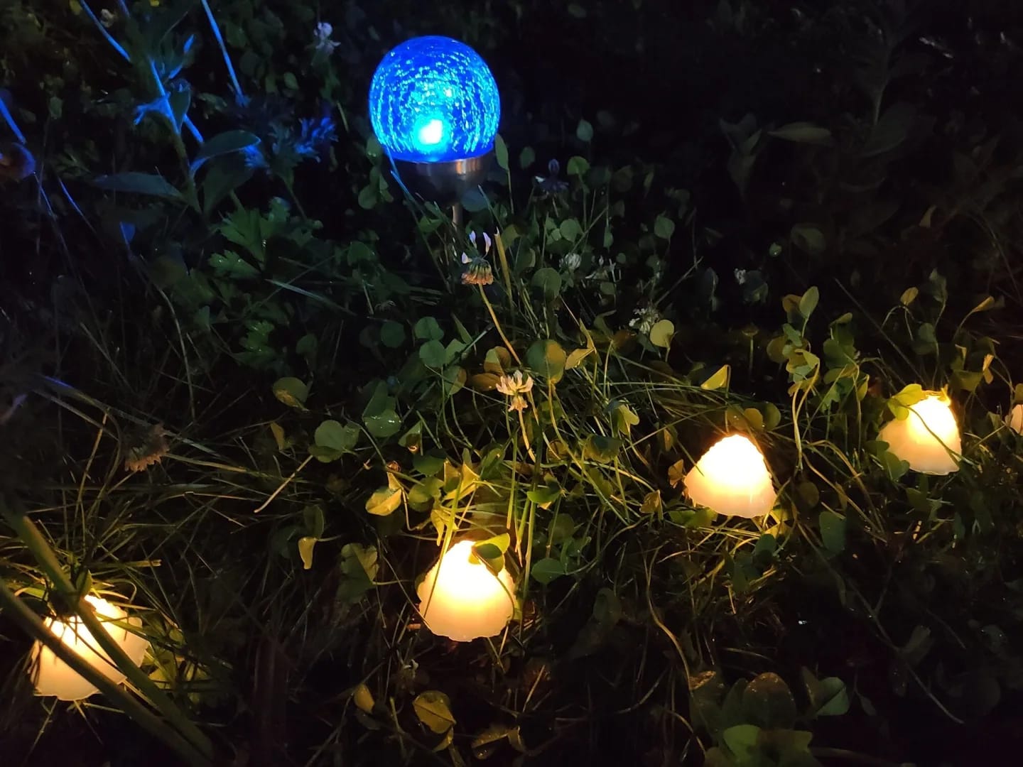 Customer photo review of Colourful String Lights for Garden, Solar Mushroom, 350 cm