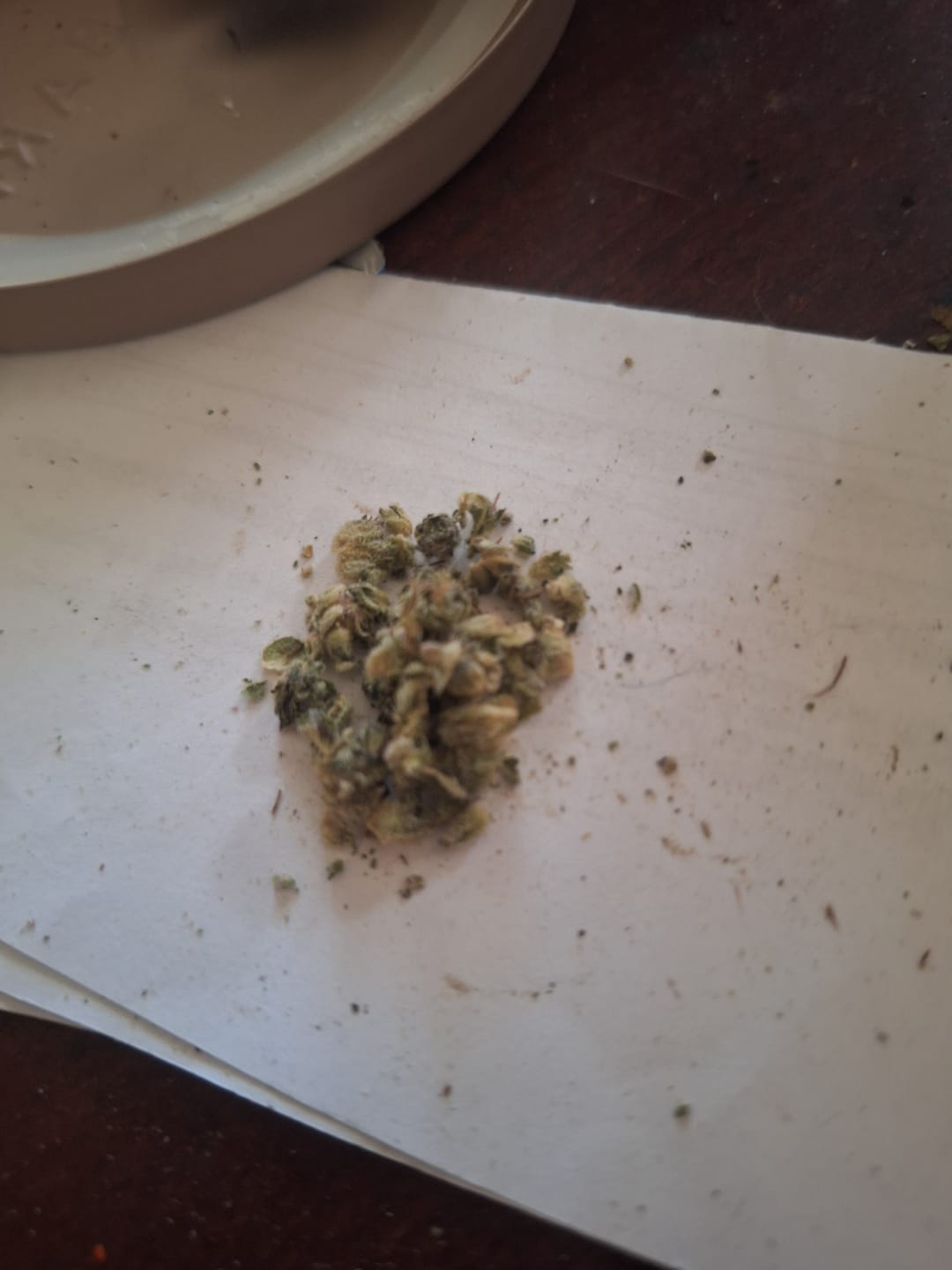 Customer photo review of Blueberry Syrup - 28 Grams - Indica