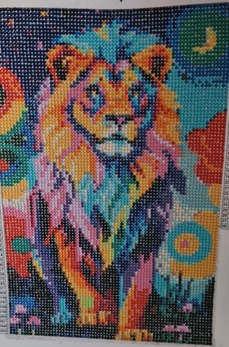 Customer photo review of Surprise Design | Mystery Diamond Painting Kit