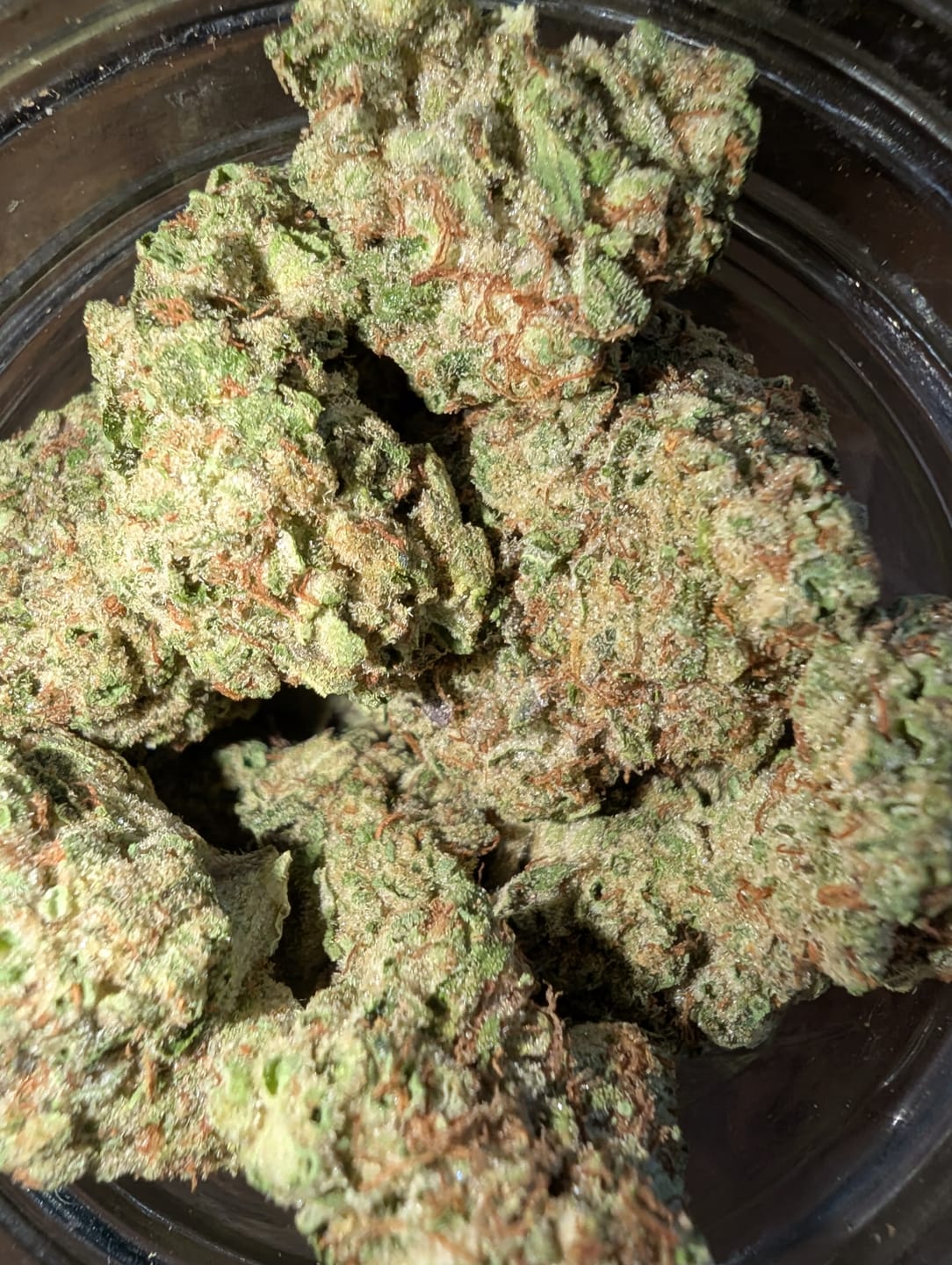 Customer photo review of Gorilla Glue THCA Flower