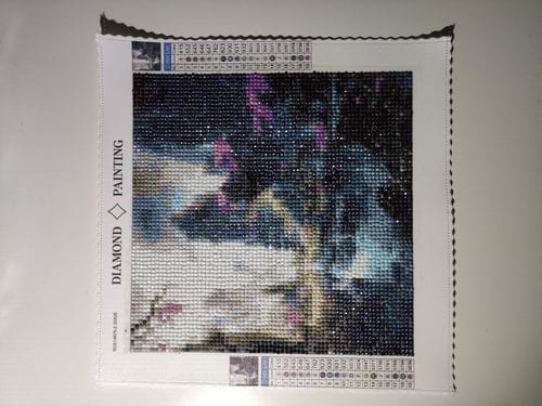 Customer photo review of Enchanted Garden | Diamond Painting Kit
