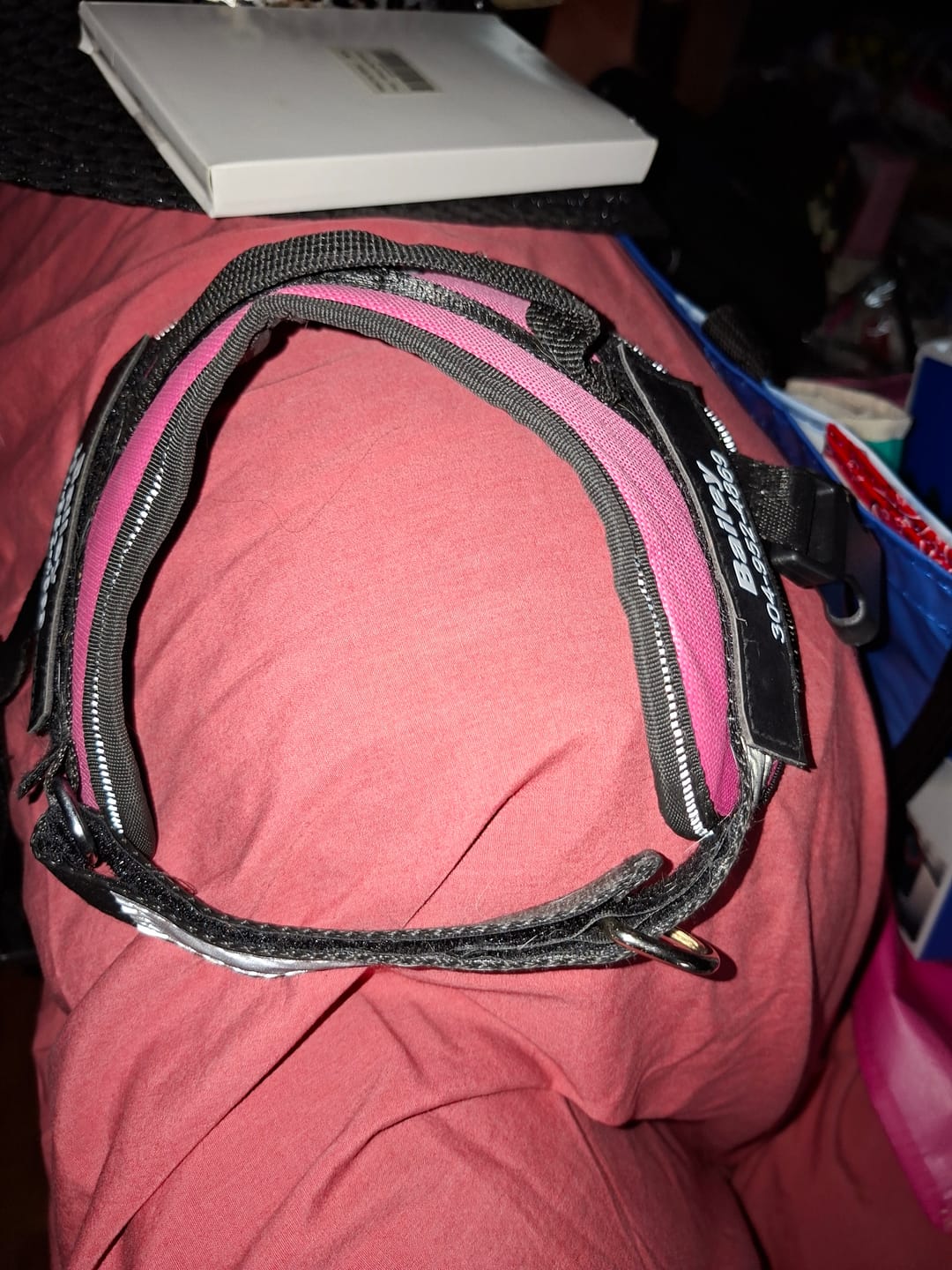 Customer photo review of Front D-Ring Attachment