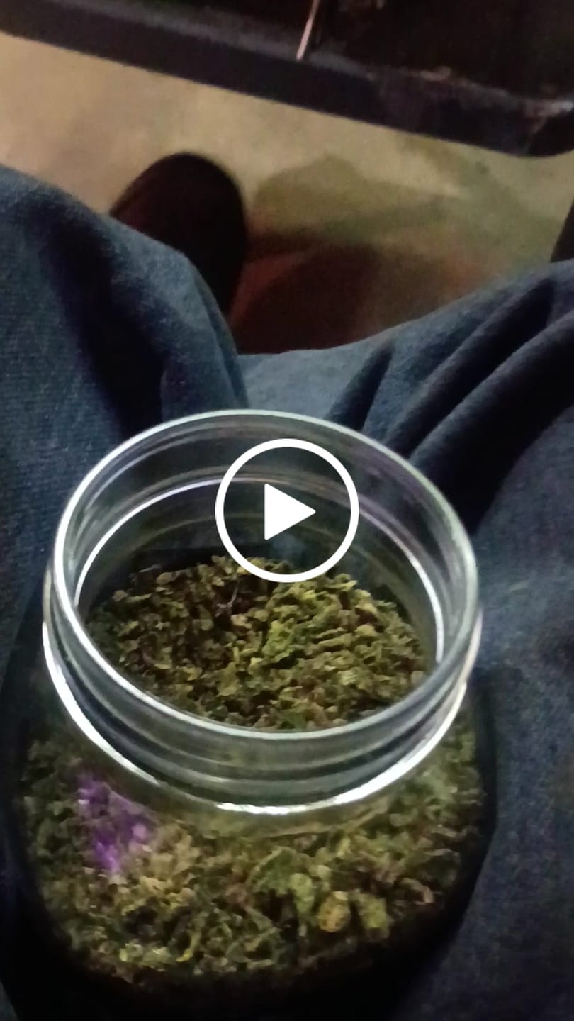 Customer video review of 7-Strain Shake Surprise Pack (Save25%)
