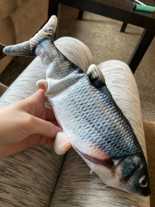Customer photo review of Floppy Fish - Interactive Dog Toy