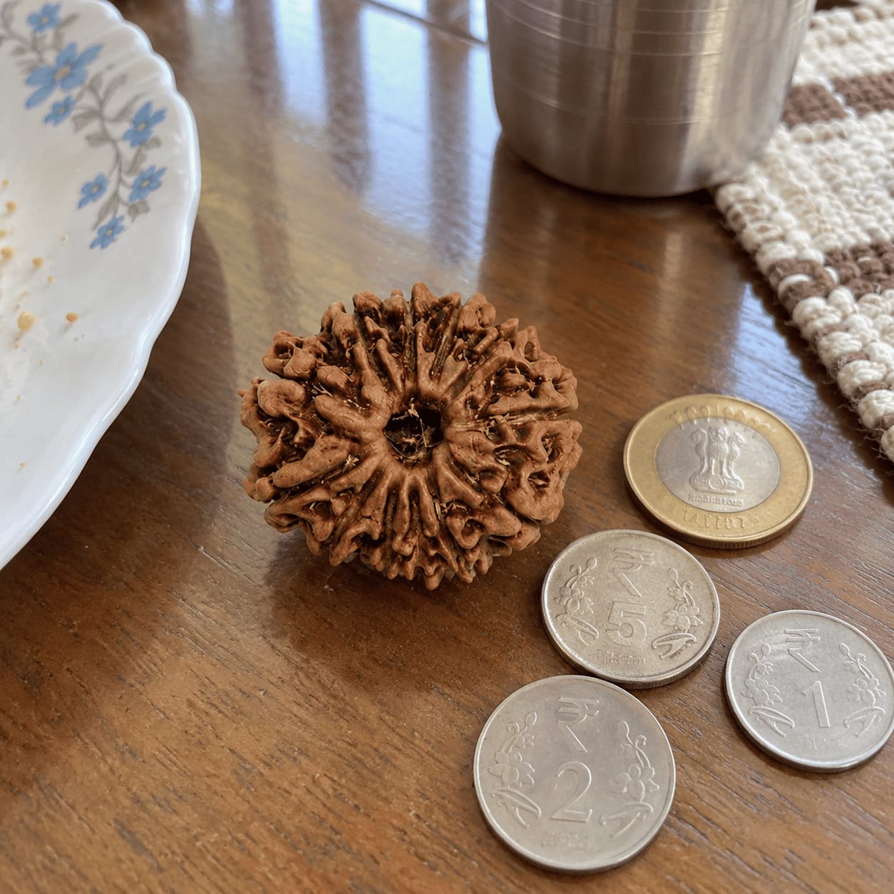Customer photo review of 12 Mukhi Rudraksha (Nepali)