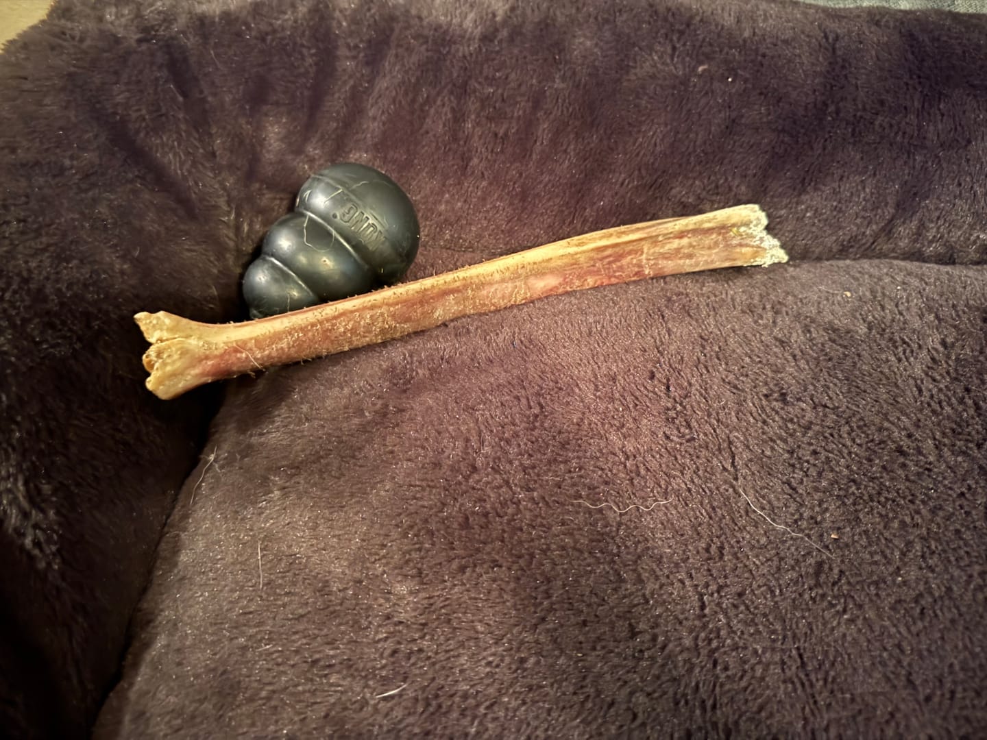 Customer photo review of Ostrich Long Bone (19" x 3.5"): The Ultimate Challenge for Medium, Large & Extra-Large Dogs
