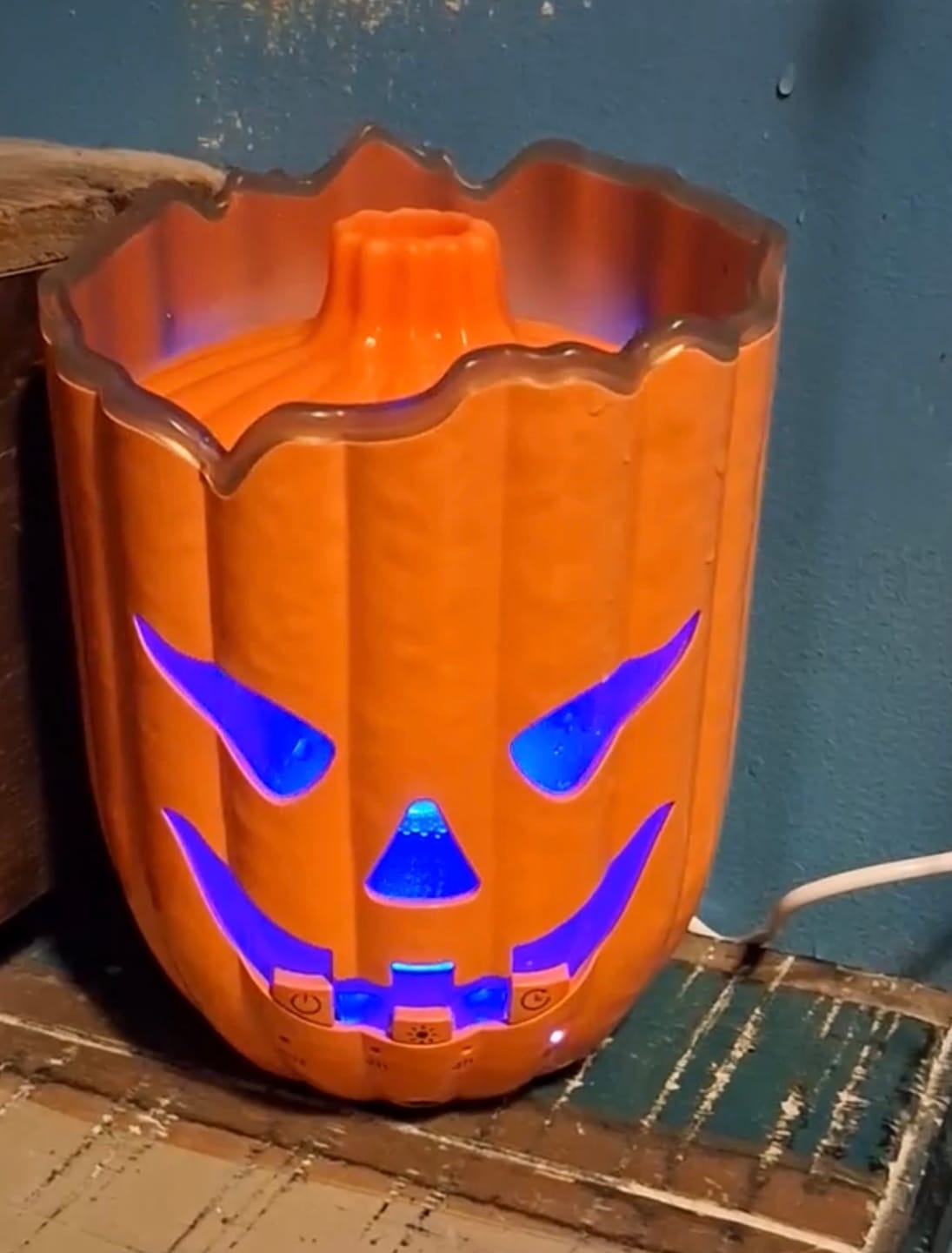 Customer photo review of Pumpkin Humidifier