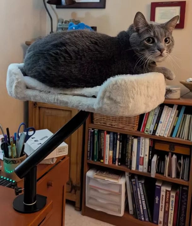 Customer photo review of Cat Desk Bed