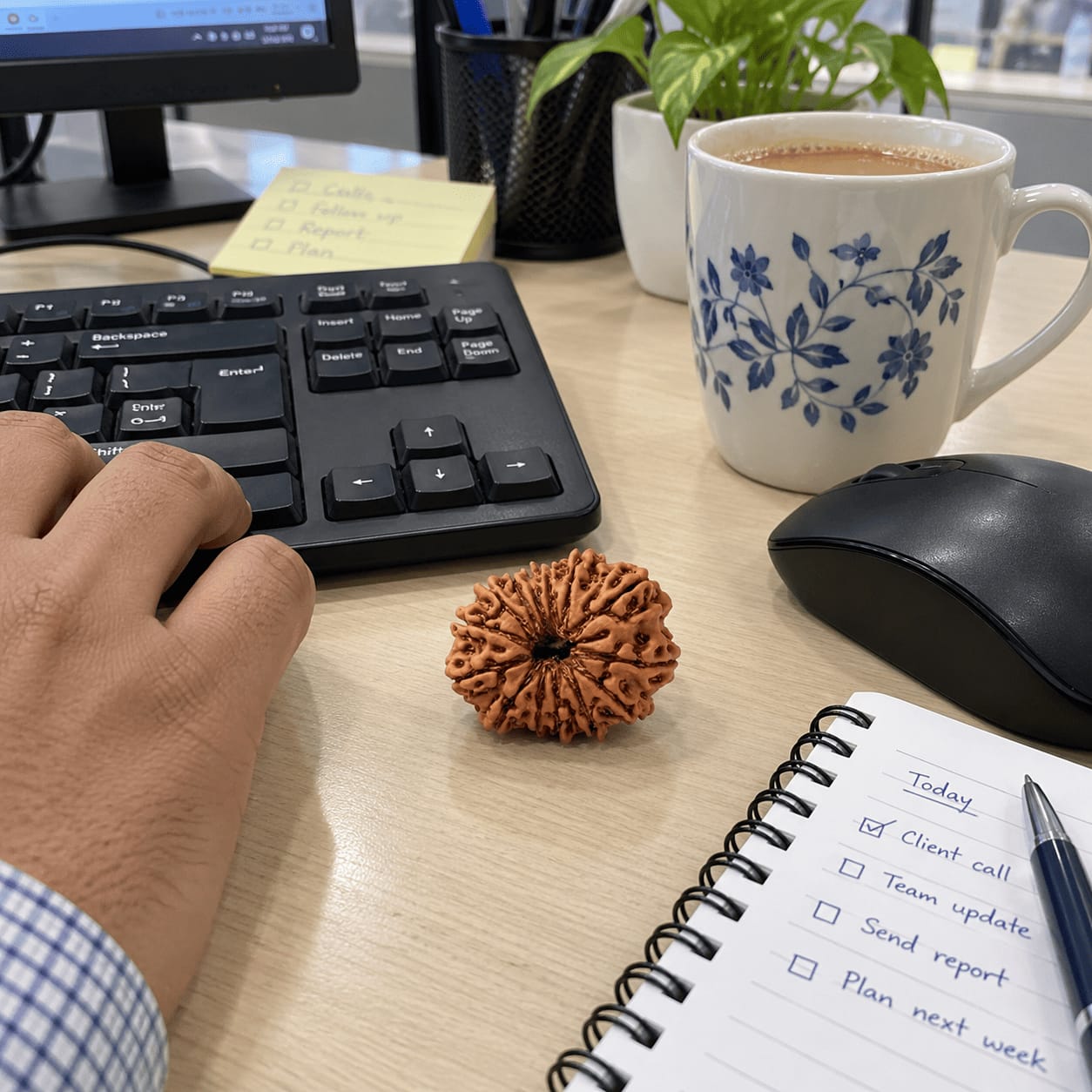 Customer photo review of 13 Mukhi Rudraksha (Nepali)