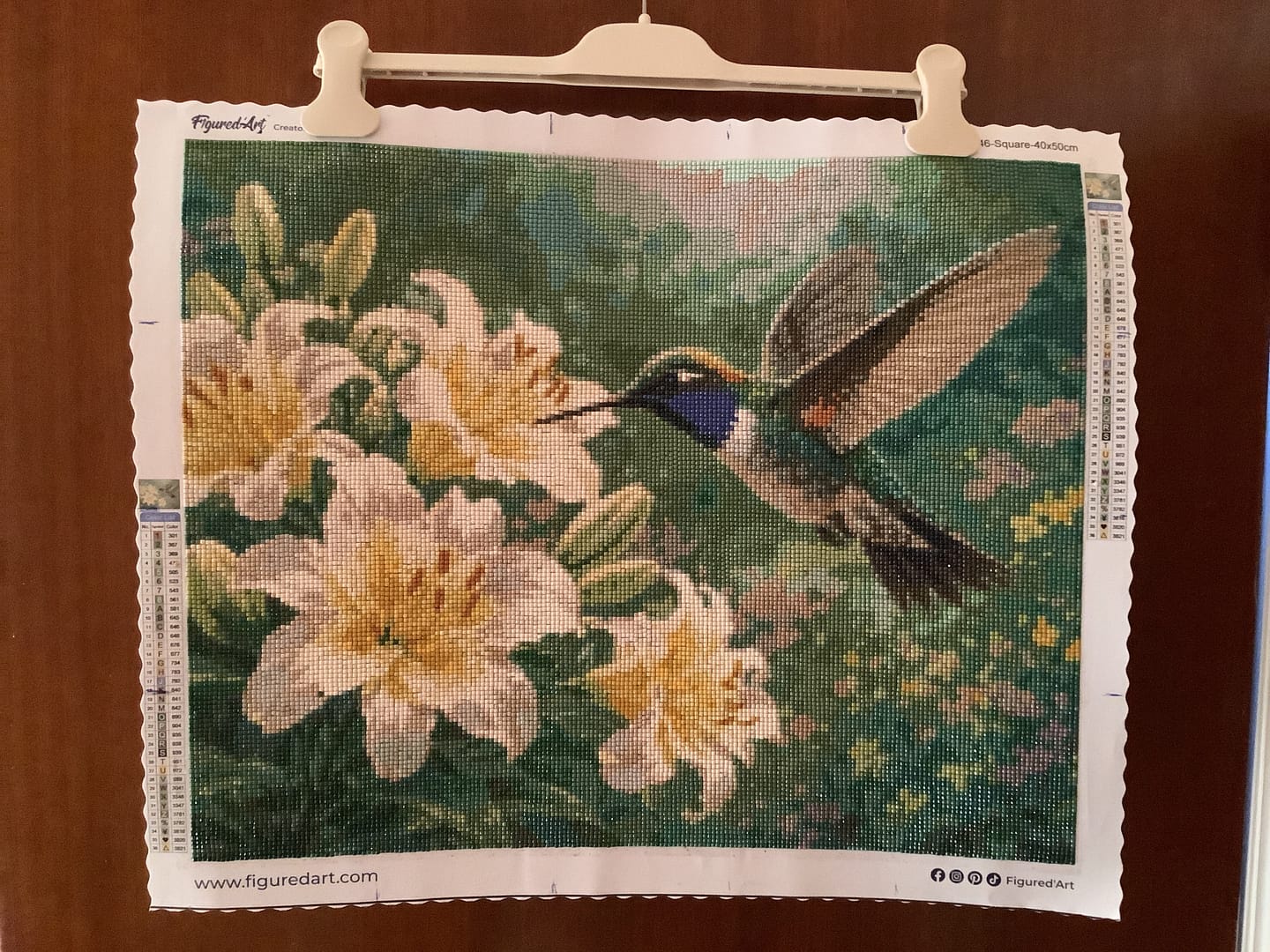 Customer photo review of Diamond Painting - Colibri et Fleurs