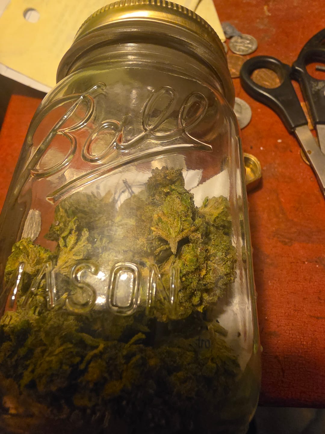 Customer photo review of Kush Pie Greenhouse THCA