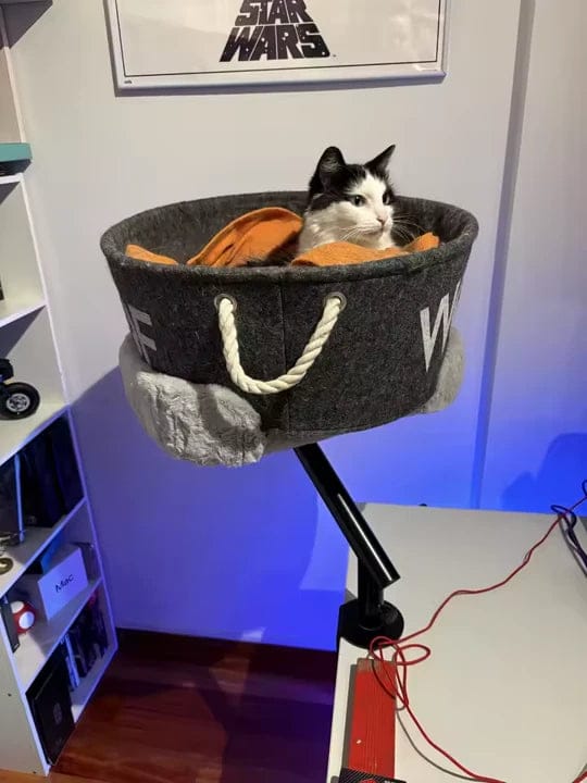 Customer photo review of Cat Desk Bed