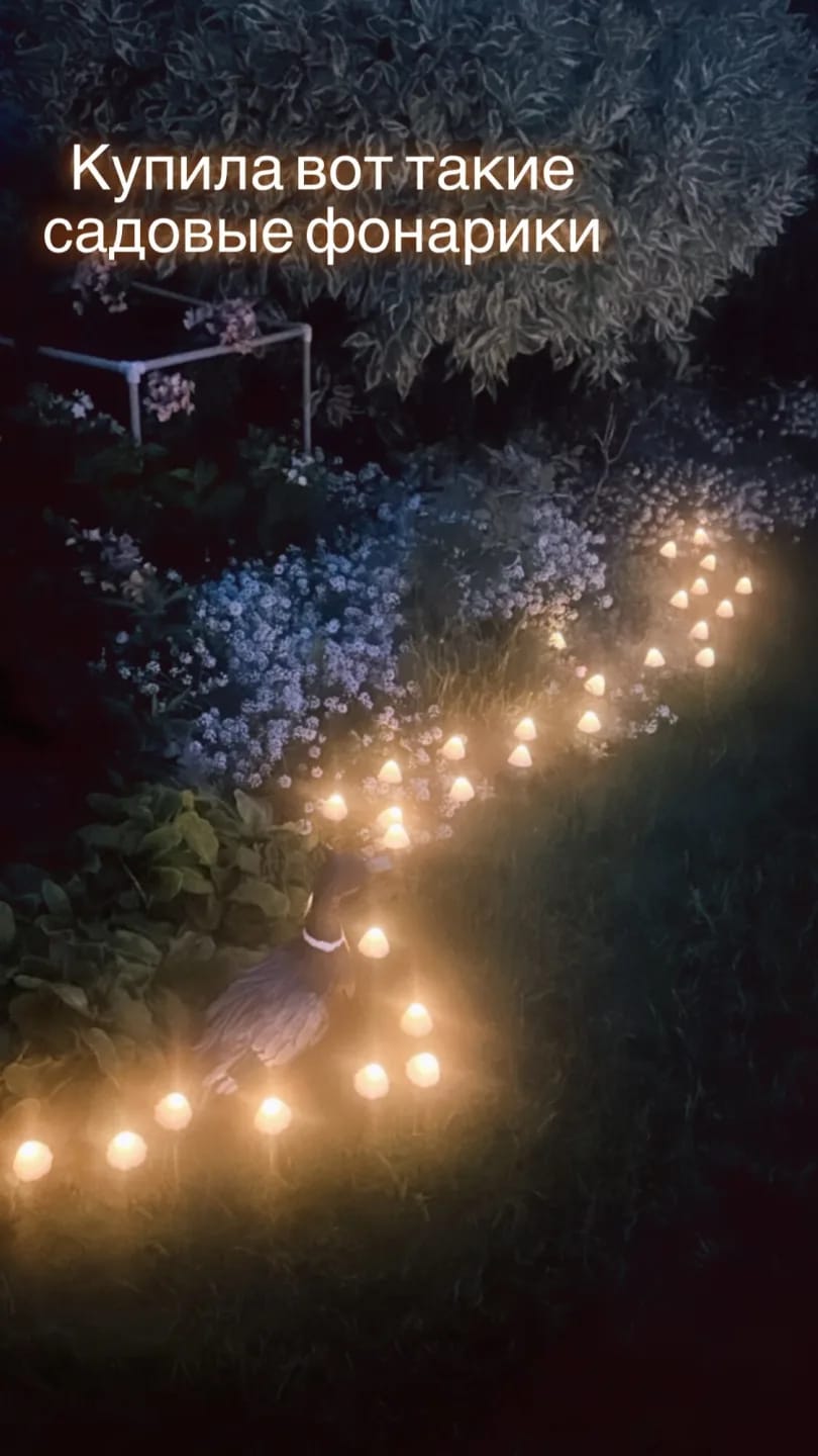 Customer photo review of Colourful String Lights for Garden, Solar Mushroom, 350 cm