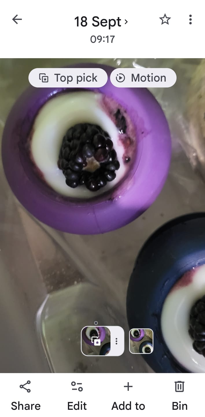 Customer photo review of Freezball - Durable Fillable Dog Chew Bone