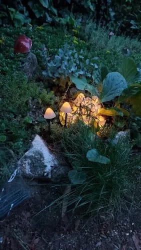 Customer photo review of Colourful String Lights for Garden, Solar Mushroom, 350 cm