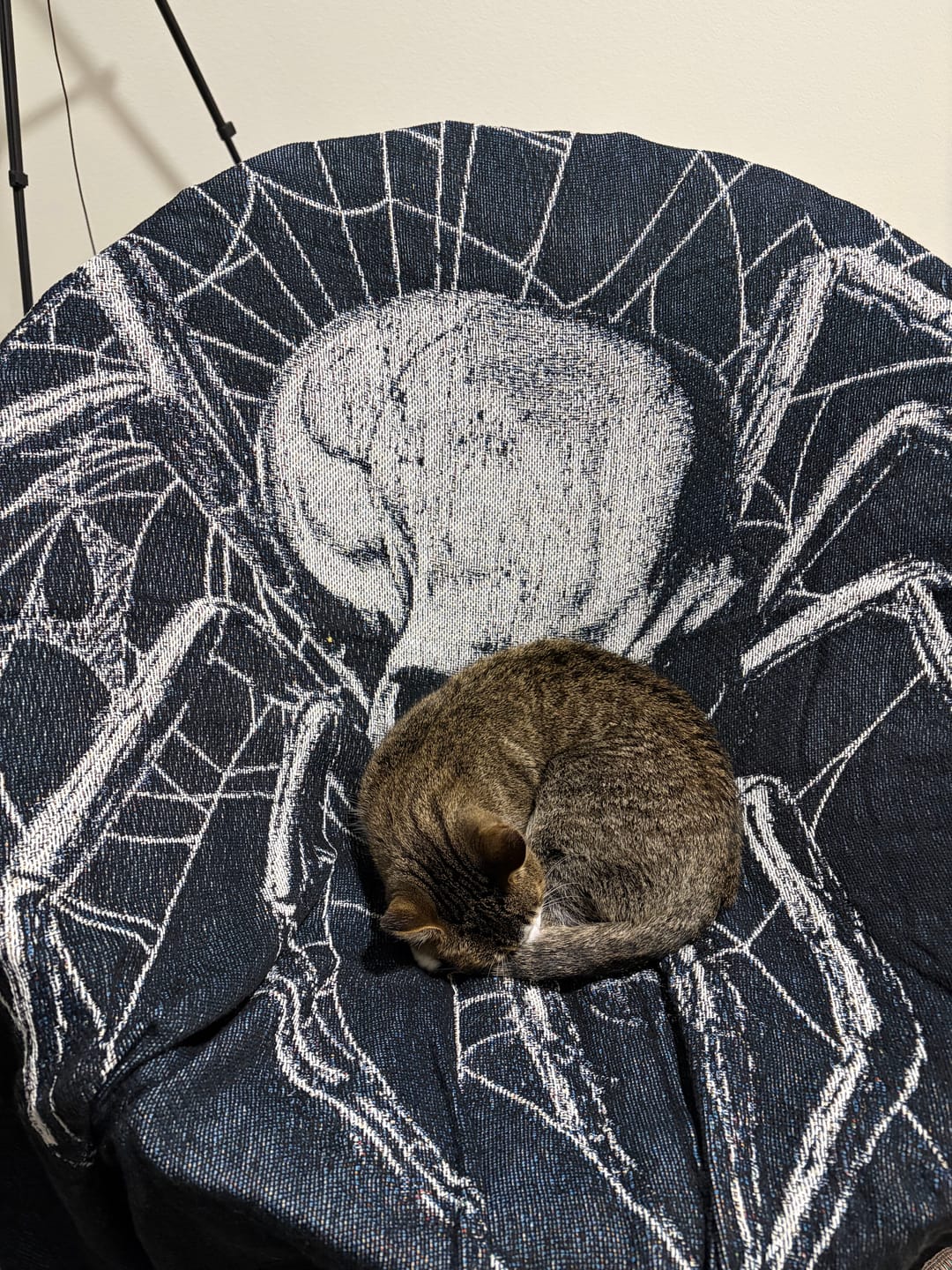 Customer photo review of BACK 2 SKULL TAPESTRIES
