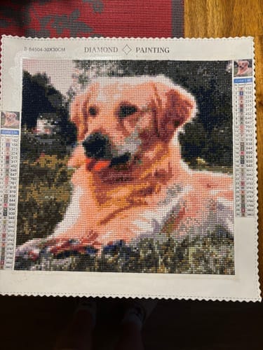 Customer photo review of Your Photo | Custom Photo Diamond Painting Kit