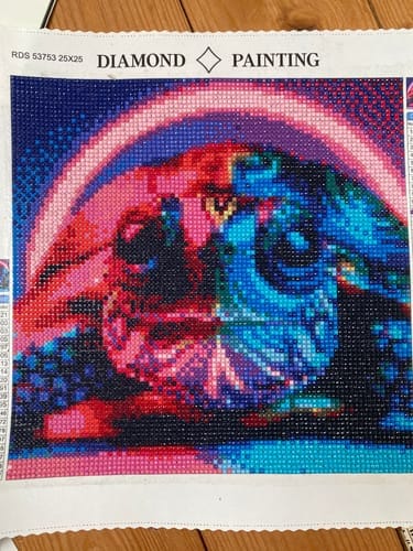 Customer photo review of Turtle in Dream Colors | Diamond Painting Kit