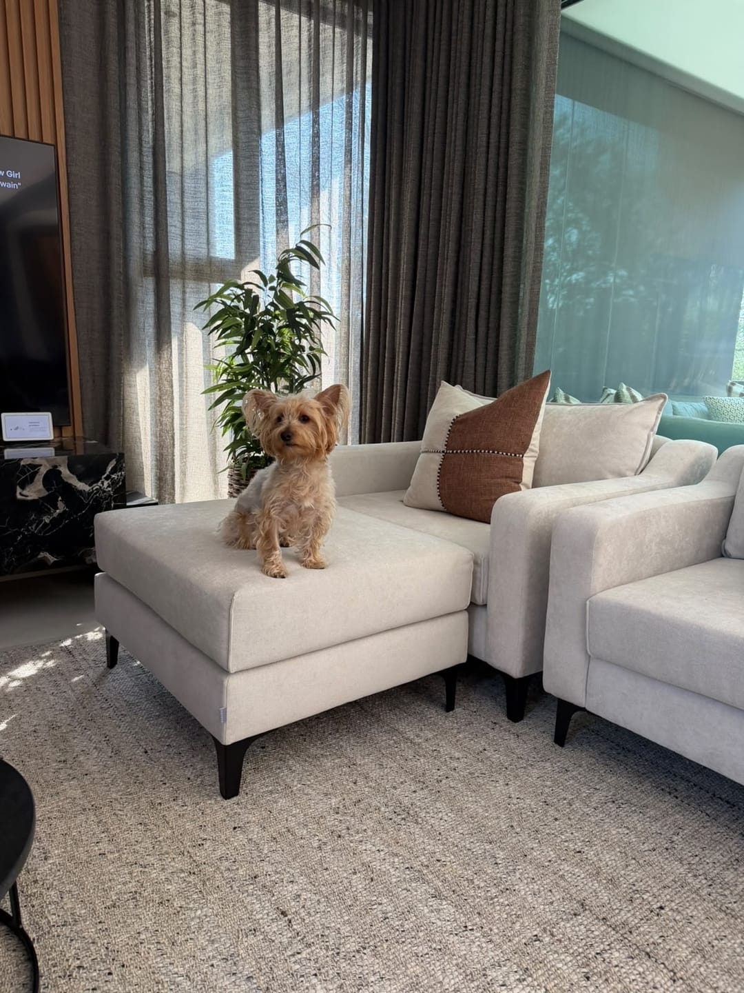 Customer photo review of Nobu Loveseat
