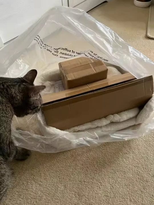Customer photo review of Cat Desk Bed