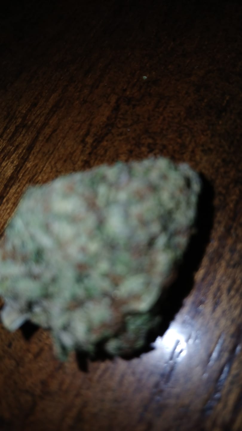 Customer photo review of Frozen Lemons THCA Flower