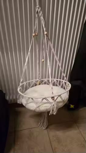 Customer photo review of Hammock Cat Bed
