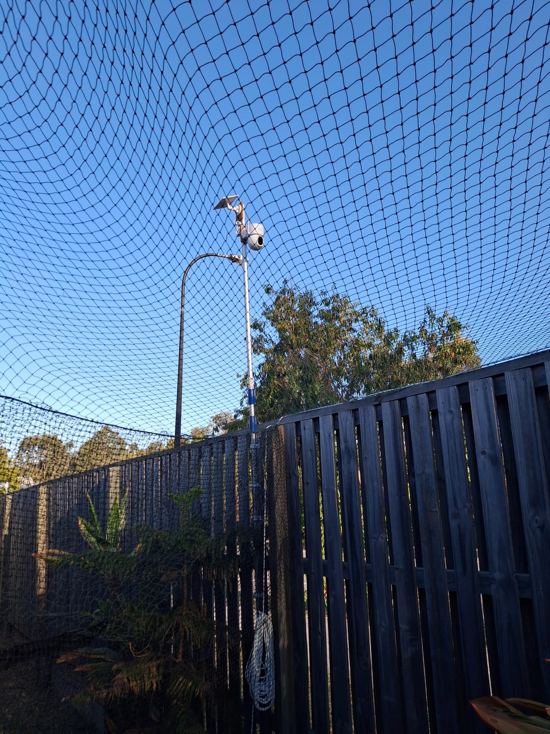 Customer photo review of Solar Camera Pro 3.0 WIFI®