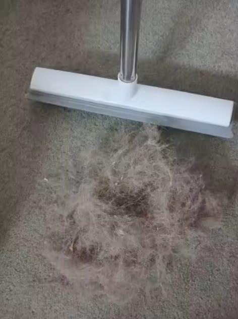 Customer photo review of furrake Pet Hair Carpet Rake