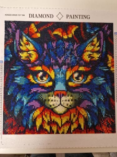 Customer photo review of Surprise Design | Mystery Diamond Painting Kit