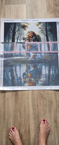 Customer photo review of Tiger in the forest | Diamond Painting Kit
